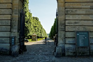 100515 197_DxO